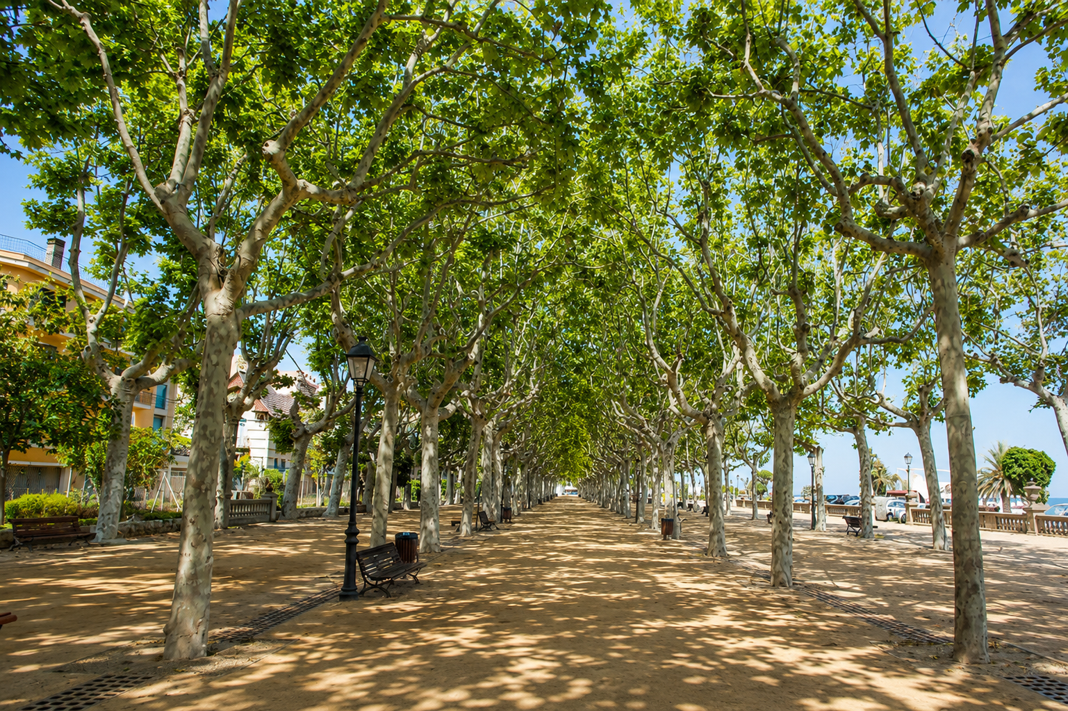 Paseo marítimo de Calella